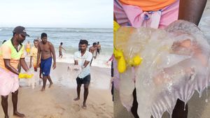 வெள்ளை வெள்ளையாய் மிதந்து வந்து.. திருச்செந்தூர் கடலில் ஷாக்! பதறிப் போன பக்தர்கள்! என்னாச்சு?