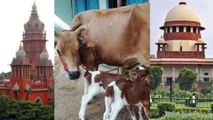 தமிழகத்தில் பசுக்கள், கன்றுகளை வெட்ட ஹைகோர்ட் விதித்த தடை நீக்கம்! உச்சநீதிமன்றத்தில் தவெக வெற்றி!