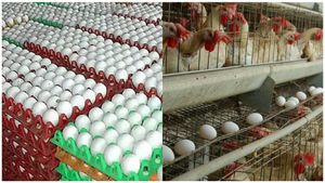 முட்டைக்கு வந்த பெரும் வாழ்வு.. நாமக்கல்லுக்கு அடித்த பெரிய ஜாக்பாட்.. வரலாற்றில் இல்லாத மாற்றம் 