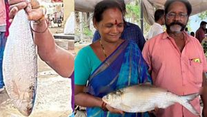 தாலியை விற்றாவது வாங்குவார்களாம்! புதுச்சேரியில் ரூ.15000 ஏலம் போன 1.5 கிலோ மீன்களின் ராஜா புலாசா 
