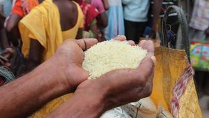 தமிழ்நாட்டில் வரலாறு காணாத அளவிற்கு அரிசி விலை உயரலாம்.. பின்னணி என்ன?