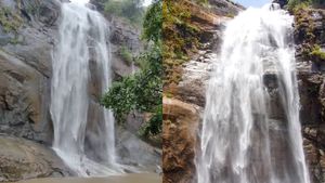 கொல்லிமலை ஆகாய கங்கை நீர்வீழ்ச்சியில் சட்டென மாறிய காட்சி .. அவசர  வார்னிங் 