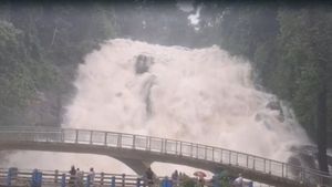 அதிரப்பள்ளி நீர் வீழ்ச்சிக்கு  போகாதீங்க! சிறுத்தை, யானை எல்லாம் இடம் பெயருதாம்!