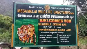 மேகமலை ஆக்கிரமிப்பாளர் பட்டியலில் ராணுவ வீரர்கள் டூ சார்பதிவாளர்.. அரசு ஊழியர்கள் 118 பேர் யார்?