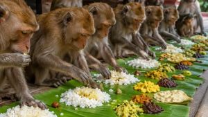 மரத்திலிருந்து இறங்கி வந்த 40 குரங்குகள்.. ஆளுக்கு ஒரு வாழையிலை! கேரளா கோயிலில் வினோத ஓணம் சத்யா