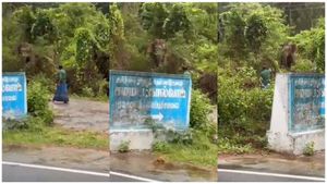 பொள்ளாச்சி டூ வால்பாறை.. பயமே இல்லாமல் யானை கூட்டத்தை நெருங்கிய இளைஞர்கள்.. இறுதியில் ட்விஸ்ட் 