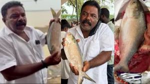 மீன்களின் ராஜா புலசா ரூ.26000-க்கு ஏலம் சாதனை.. 1.3 கிலோ மீனில் அடுத்த சில நிமிடங்களில் ஆச்சரியம்