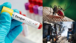 பேய் மாதிரி பயமுறுத்தும் டெங்கு.. ஒரே நாளில் இத்தனை பேருக்கு பாதிப்பா? நிரம்பி வழியும் ஹாஸ்பிடல்கள்! 