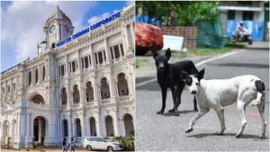 நாய், பூனை உள்ளிட்ட செல்லப்பிராணிகளை கைவிட்டால் ரூ.10,000 அபராதம்! சென்னை மாநகராட்சி அதிரடி உத்தரவு
