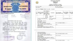 தாய் பத்திரமும் முக்கியம்.. வில்லங்க சான்றிதழில் Nil இருந்தால் நிலம் வாங்கலாமா? 30 வருட EC ஏன் தேவை