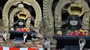 நெல்லூரில் சிவனை சுற்றி வந்த 3 நாகப்பாம்புகள்.. அடுத்த நொடி நம்ப முடியாத ஆச்சரியம்! பக்தர்கள் பரவசம்