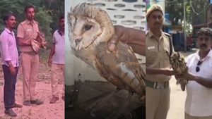 இதய வடிவில் முகம்.. இரவுதான் வேட்டைக்கான நேரம்! புதுச்சேரியில் சிக்கிய அரிய உயிரினம் பற்றி தெரியுமா?