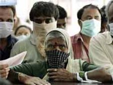 హైదరాబాద్ లో మరో స్వైన్ మృతి