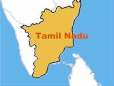 తమిళనాడులో పెళ్లి వ్యాన్ కు ప్రమాదం: 16 మంది మృతి