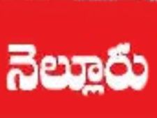 వధువు సహా ఆరుగురు మృతి, నెల్లూరు జిల్లాలో పెళ్లి లారీ బోల్తా