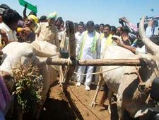 నాలుగో రోజు పాదయాత్ర: నాగలి పట్టిన చంద్రబాబు