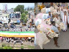 సమైక్య నిరసనలో జాతీయ పతాకం, గోమాత(పిక్చర్స్)