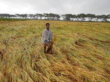 హెలెన్ తర్వాత లెహర్: మరో తుఫాను ముప్పు?