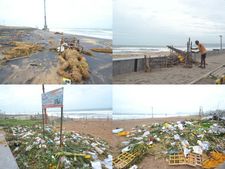 విశాఖ తీరంలో ఒడ్డుకొచ్చిన గణేష్ విగ్రహాలు (పిక్చర్స్)