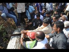 అధైర్యపడొద్దు: చెట్టును కోసిన చంద్రబాబు(పిక్చర్స్)