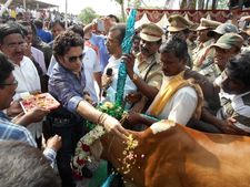 నో అంటూ వెళ్లారు: నిరాశపర్చిన సచిన్, తెలుగులో..