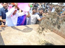 సీఎం రాకకోసం చూసిన నేతలపై తేనెటీగల దాడి, పరుగు: తట్ట ఎత్తిన కేసీఆర్ (పిక్చర్స్)