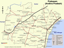  కుక్క పిల్లకు ఉరేసి, వారు ఆత్మహత్య చేసుకున్నారు