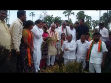 వర్షం: పంటపొలాలను పరిశీలించిన దత్తాత్రేయ(పిక్చర్స్)