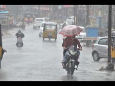  మండే వేసవిలో వాన ఊరట: చల్లదనం (ఫోటోలు)