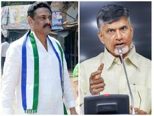 కేసులపై భూమా, ఎస్పీ సవాల్: చంద్రబాబుకు ఓకే చెప్పిన జవదేకర్