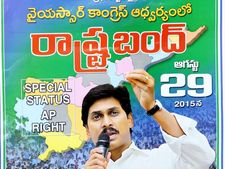 ప్రత్యేక హోదా సాధనలో బాబు విఫలం: వైసీపీ బంద్ పోస్టర్ (ఫోటోలు) 