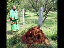 అమరావతికి నారావారిపల్లె పుట్టమన్ను ఇదే: తొలిసారి హెలికాప్టర్‌లో బాబు (పిక్చర్స్)
