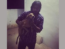 ఆ కుక్క బతికేవుంది: విసిరేసిన మెడికో అరెస్ట్(ఫొటో)