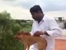శాడిస్ట్ డాక్టర్: కుక్కను ఐదో అంతస్థు నుంచి....(వీడియో)