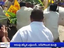   ఎడ్లబండిపై నుంచి జారిన అయ్యన్నపాత్రుడు