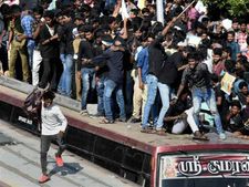 హింస: జల్లికట్టు ప్రదర్శన ఇలా కట్టు తప్పింది