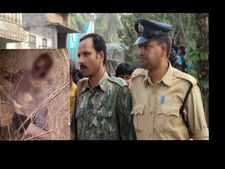 ఏడుగురిని చంపిన ఆ నరహంతకుడు హతమయ్యాడు: గ్రామస్తుల్లో ఆనందం!