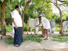 బాబుకు ‘బాహుబలి పిచ్చి పట్టింది’: పంచె కట్టి రైతుగా రఘువీరా!