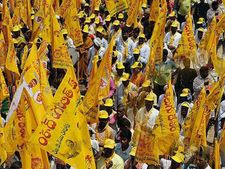 స్థానిక ఎన్నికల్లో మరోసారి సత్తా చాటిన టీడీపీ: శ్రేణుల సంబరాలు