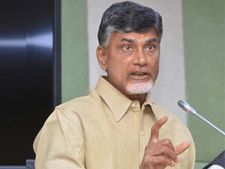 టిడిపిలో ట్రిపుల్ తలాక్ బిల్లుపై భిన్నాభిప్రాయాలు లేవు:చంద్రబాబు