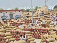 ఈనామ్ కొనుగోళ్లకు ఒత్తిడి చేస్తే...తెలంగాణా వెళతాం:ఎపి మిర్చి వ్యాపారుల హెచ్చరిక