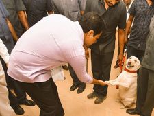 వరంగల్లో నేటి నా ఫేవరేట్ పిక్చర్: కేటీఆర్‌కు పోలీస్ డాగ్ షేక్ హ్యాండ్
