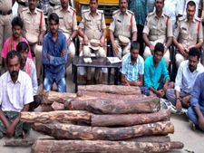 11 మంది ఎర్రచందనం స్మగ్లర్లు అరెస్ట్‌...22 దుంగలు, రూ.లక్ష స్వాధీనం