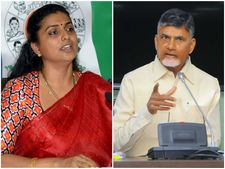 దెబ్బకు చంద్రబాబుకు ముచ్చెమటలు, 2017లో ఆయనే చెప్పారు: రోజా