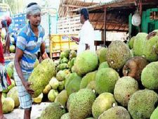 అరకు కాఫీ తరహాలో పాడేరు పనస వ్యాపారం...ప్రాజెక్ట్ రూపకల్పనలో గిరిజన శాఖ అధికారులు
