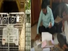 విశాఖపట్టణం:ఏపీఐఐసీ సర్వేయర్‌ చిరంజీవి ఇంట్లో ఏసీబీ సోదాలు...భారీగా అక్రమాస్థుల గుర్తింపు