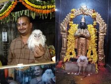 వైరల్ : కోరుట్ల వెంకటేశ్వర ఆలయంలో వింత.. స్వామి పాదాల చెంత గరుడ పక్షి (వీడియో)