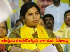 'అఖిలప్రియ తెలుసుకోవాల్సింది చాలా ఉంది, ఈ విషయం చంద్రబాబు వద్దకు వెళ్లింది'
