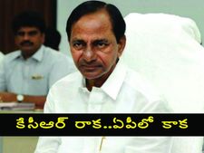  విజయవాడకు కేసీఆర్: ఏపీ రాజకీయాల్లో ఫిబ్రవరి నెలకు ప్రాముఖ్యత