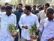 341 రోజులు : 3,648 కిలో మీట‌ర్లు :  అభిమానులు మెచ్చేలా  : ముగింపు స‌భ‌లో జ‌గ‌న్ ప్ర‌క‌ట‌న పైనే దృష్ట